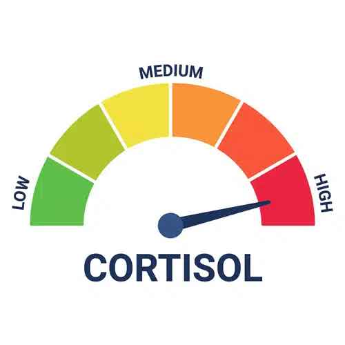 cortisol spike